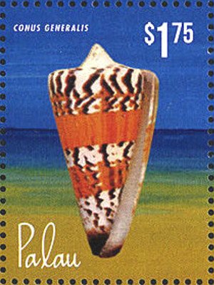 Colnect-4992-582-Conus-generalis.jpg