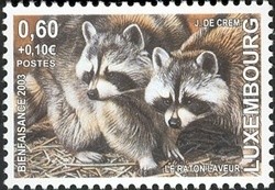 Colnect-858-599-Raccoon-Procyon-lotor.jpg