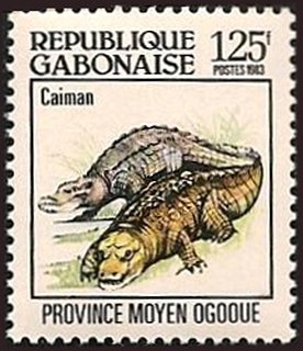 Colnect-2529-844-Crocodile-Crocodylus-sp-Moyen-Ogooue.jpg