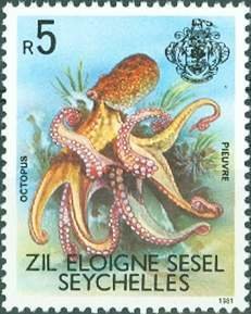 Colnect-2302-359-Octopus-Octopus-sp.jpg