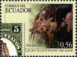 Colnect-980-614-Ecuadorain-Cacao.jpg