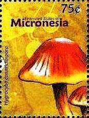 Colnect-5782-131-Hygrocybe-constrictospora.jpg