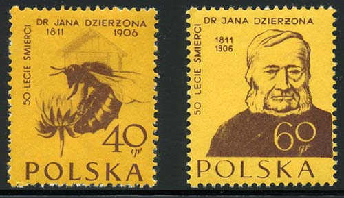 Skap-poland_01_bees.jpg