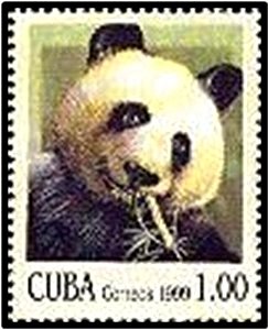 Colnect-2244-900-Giant-Panda-Ailuropoda-melanoleuca.jpg