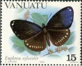 Colnect-1230-400-Double-branded-Crow-Euploea-sylvester.jpg