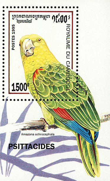 Colnect-1526-994-Yellow-headed-Amazon-Amazona-oratrix.jpg