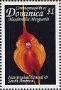 Colnect-3227-795-Masdevallia-marguerile.jpg