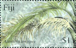 Colnect-3956-013-Endemic-Palm-of-Fiji.jpg