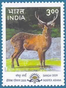 Colnect-547-996-Sangai-Deer-Cervus-eldi-eldi-.jpg