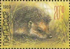 Colnect-1419-177-European-Hedgehog-Erinaceus-europaeus.jpg