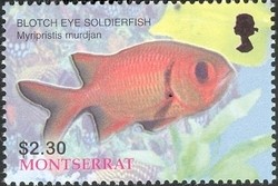 Colnect-1538-368-Pinecone-Soldierfish-Myripristis-murdjan.jpg