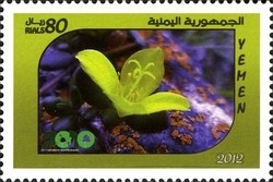 Colnect-1621-979-Biodiversity-in-Yemen.jpg