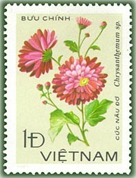 Colnect-1627-158-Reddish-chrysanthemum.jpg