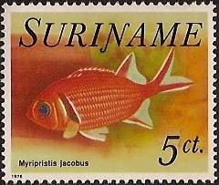 Colnect-2636-007-Blackbar-Soldierfish-Myripristis-jacobus.jpg