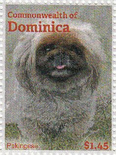 Colnect-3276-993-Pekingese-Dog-Canis-lupus-familiaris.jpg