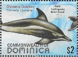 Colnect-3292-983-Clymene-Dolphin-Stenella-clymene.jpg