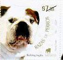 Colnect-330-815-English-Bulldog-Canis-lupus-familiaris.jpg