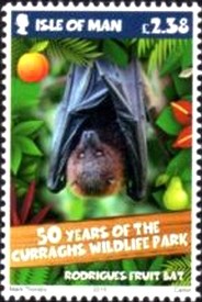 Colnect-3122-288-Rodrigues-fruit-bat.jpg