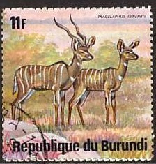 Colnect-981-024-Lesser-Kudu-Tragelaphus-imberbis.jpg