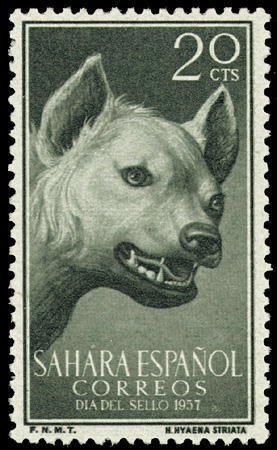 Colnect-1399-382-Striped-Hyena-Hyaena-hyaena.jpg