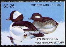 Colnect-203-162-Bufflehead-Duck-Bucephala-albeola.jpg