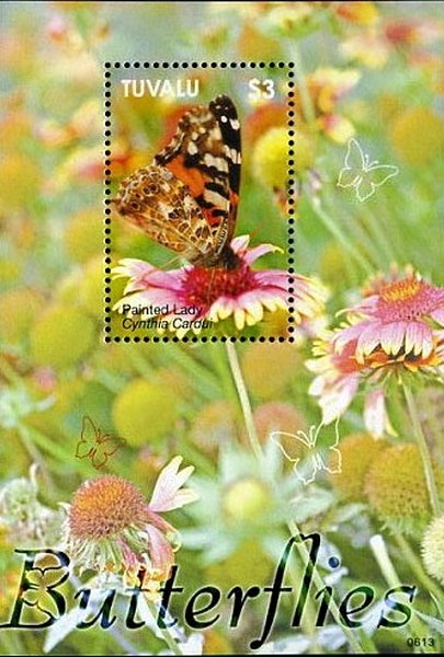 Colnect-2607-829-Painted-Lady-Vanessa-cardui.jpg