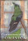 Colnect-3254-571-Green-throated-Carib-Eulampis-holosericeus.jpg