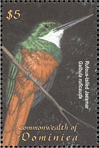 Colnect-3254-656-Rufous-tailed-Jacamar-Galbula-ruficauda.jpg