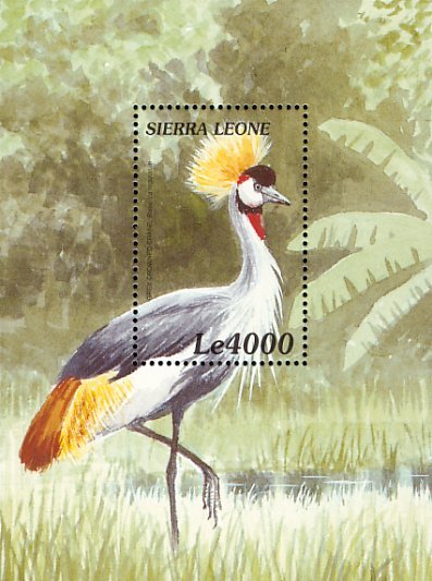 Colnect-3807-390-Grey-Crowned-Crane-Balearica-regulorum.jpg