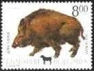 Colnect-451-420-Wild-Boar-Sus-scrofa.jpg