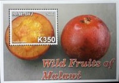 Colnect-4513-710-Wild-Fruits-of-Malawi.jpg