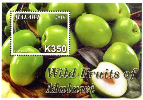 Colnect-4513-712-Wild-Fruits-of-Malawi.jpg