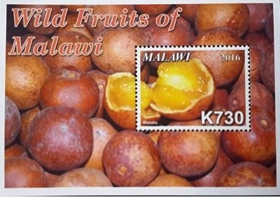 Colnect-4513-713-Wild-Fruits-of-Malawi.jpg