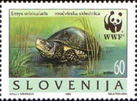 Colnect-688-872-European-pond-tortoise-Emys-orbicularis.jpg