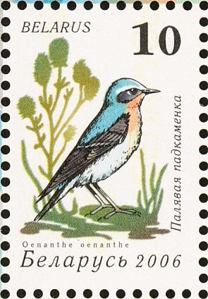 Colnect-1055-970-Wheatear-Oenanthe-oenanthe.jpg