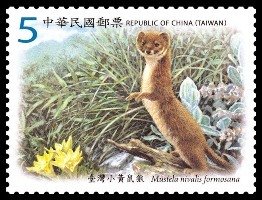 Colnect-1854-197-Taiwan-High-Mountain-Least-Weasel-Mustela-nivalis-formosana.jpg