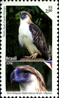 Colnect-2520-094-Philippine-eagle-Pithecophaga-jefferyi.jpg