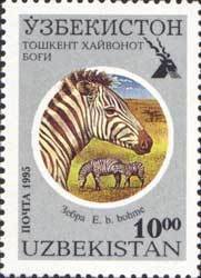 Colnect-804-384-Grant-s-Zebra-Equus-quagga-boehmi.jpg