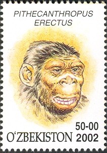 Colnect-2427-368-Pithecanthropus-erectus.jpg