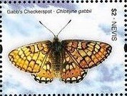 Colnect-3518-856-Gabb-s-checkerspot-Chlosyne-gabbii.jpg