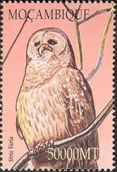 Colnect-1486-321-Barred-Owl%C2%A0Strix-varia.jpg