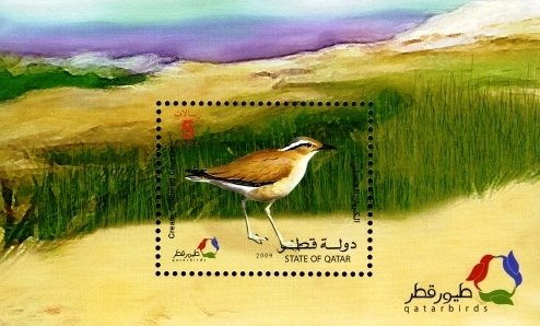 Colnect-1662-254-Cream-colored-Courser-Cursorius-cursor.jpg