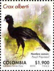 Colnect-1701-414-Blue-billed-Curassow-Crax-alberti.jpg