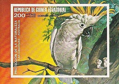 Colnect-2064-361-Yellow-crested-Cockatoo-Cacatua-galerita.jpg