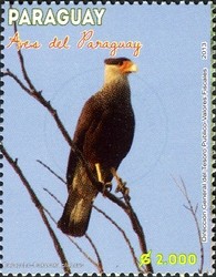 Colnect-2373-284-Southern-Crested-Caracara-Caracara-plancus-.jpg