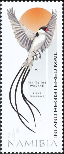 Colnect-3744-579-Pin-tailed-Whydah-Vidua-macroura.jpg