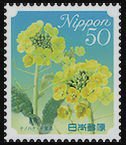 Colnect-4105-631-Rapeseed---Chiba-Prefecture.jpg