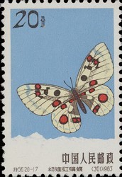 Colnect-487-252-Richthofeni-Red-Apollo-Parnassius-nomion.jpg