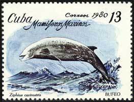 Colnect-660-319-Cuvier-s-Beaked-Whale-Ziphius-cavirostris.jpg