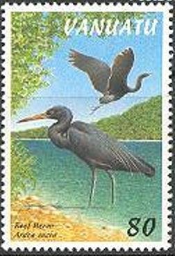 Colnect-1253-641-Pacific-Reef-Heron%C2%A0Egretta-sacra.jpg